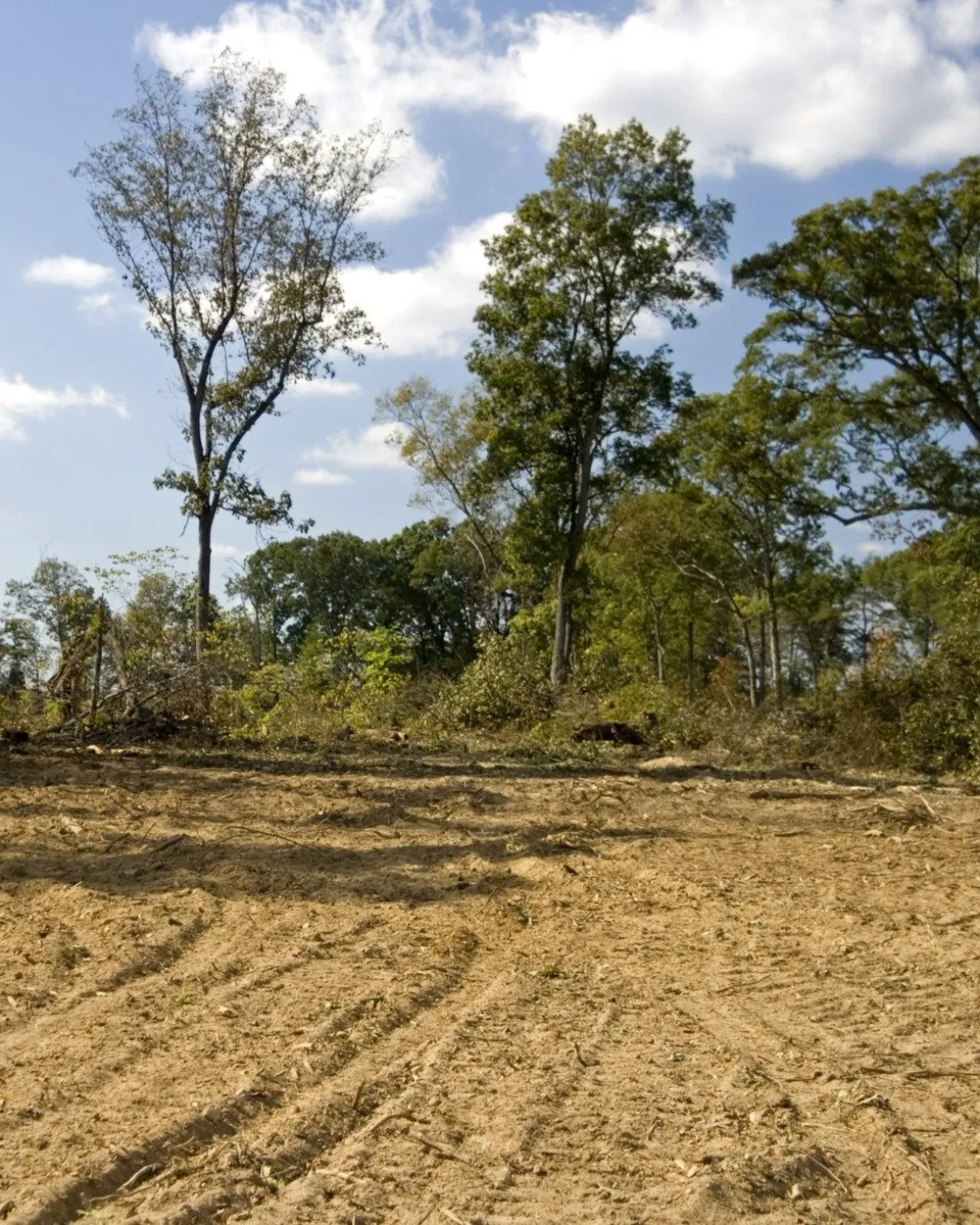 Freshly graded, compacted building pad ready for construction on the Northshore