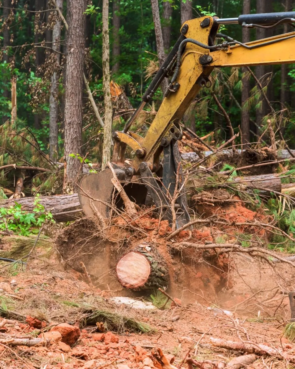 Excavator removing a tree stump during land clearing in Covington, LA